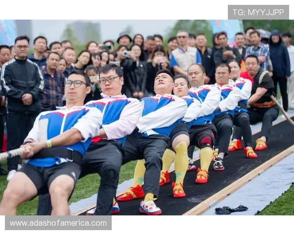 新2体育:打造多元化体育内容满足不同用户多样化需求 新2体育:打造多元化体育内容满足不同用户多样化需求