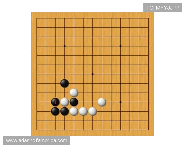 解析蓝月牌棋的规则与对弈技巧，帮助初学者上手