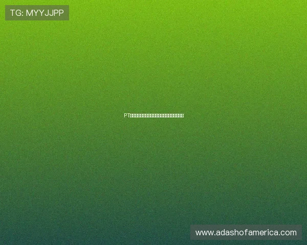 PT电子模拟器在电子仿真中的应用实例与操作指南